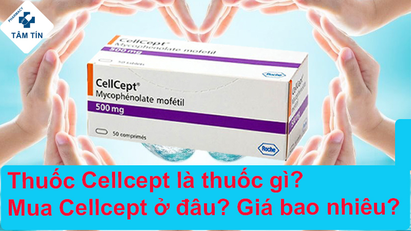 Thuốc Cellcept 500mg là thuốc gì? Mua Cellcept 500mg ở đâu? Giá bao nhiêu?