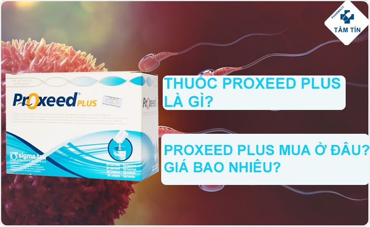 Proxeed Plus là gì? Proxeed Plus mua ở đâu? Proxeed Plus giá bao nhiêu?