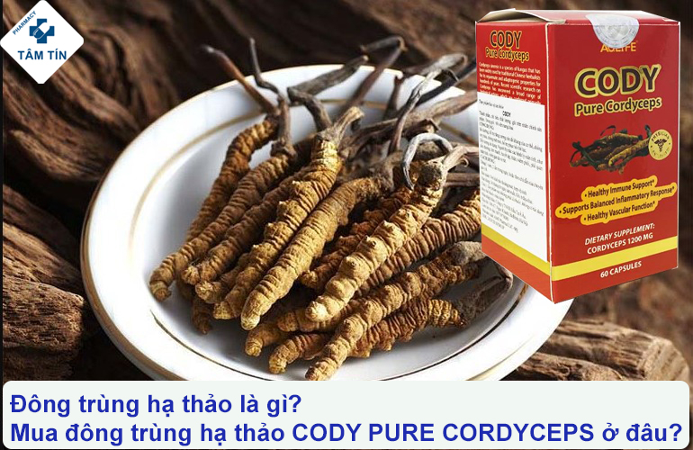 Đông trùng hạ thảo là gì? Mua đông trùng hạ thảo CODY PURE CORDYCEPS ở đâu?