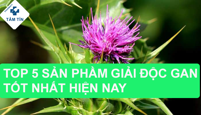 Top 5 sản phẩm giải độc gan tốt nhất hiện nay