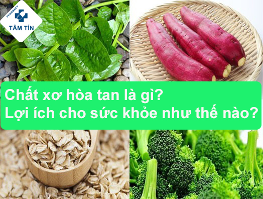 Chất xơ hòa tan là gì? Lợi ích cho sức khỏe như thế nào?
