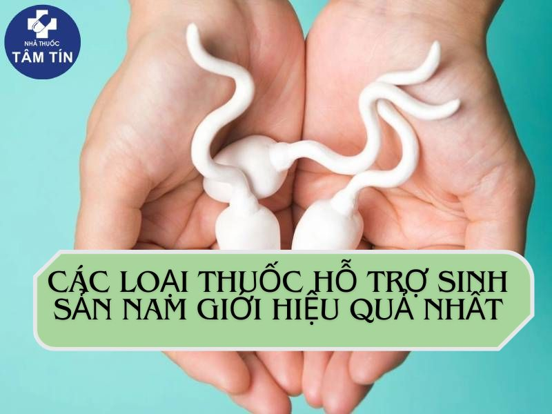 Các loại thuốc hỗ trợ sinh sản nam giới hiệu quả nhất